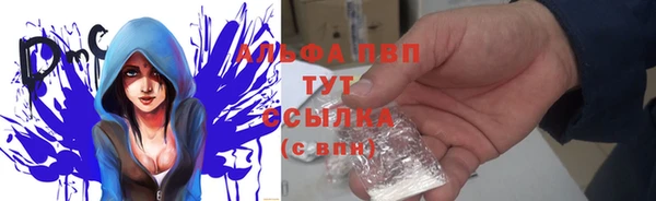 spice Алзамай