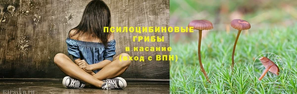 spice Алзамай