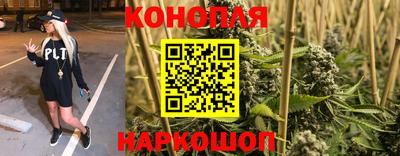 каннабис Камышлов