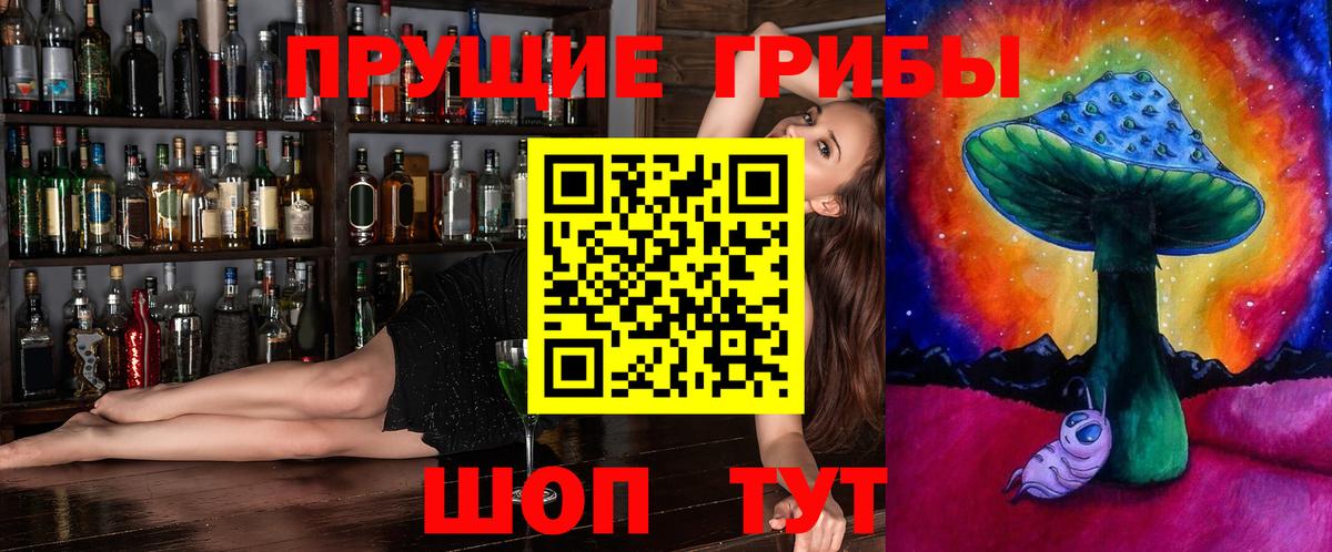 Галлюциногенные грибы Psilocybine cubensis Дмитров