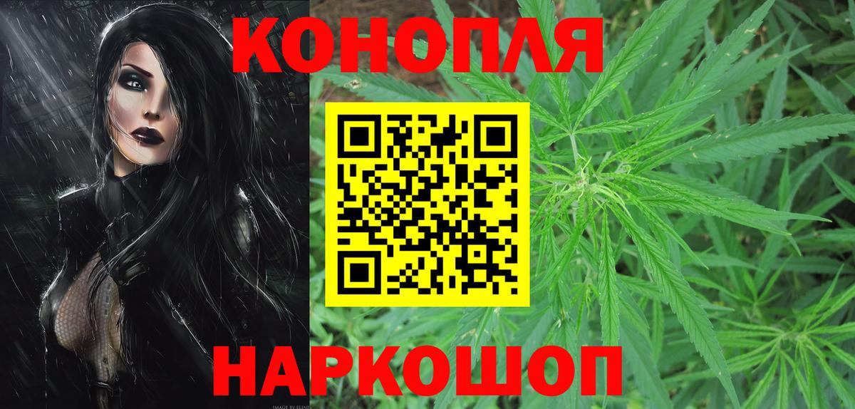 Конопля марихуана Дмитров